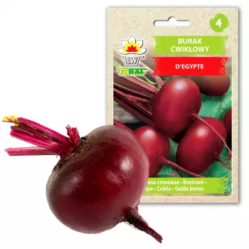 Ägyptische Rote Bete D'Egypte Toraf Gemüsesamen, 10g-Packung