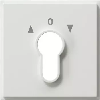 Gira 066466 Netzwerkgerät