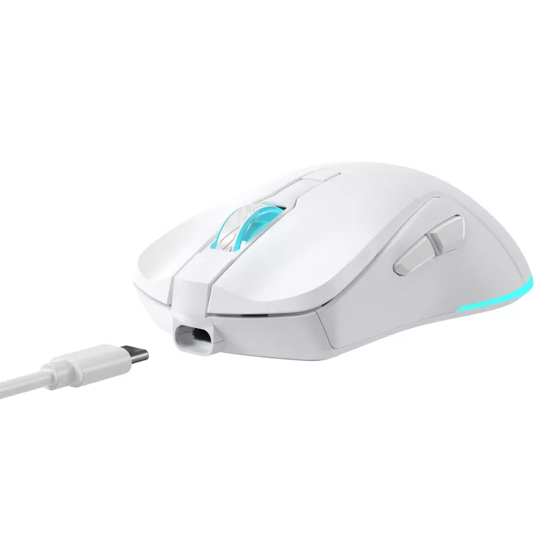 Maus Baracuda BGM-122 Turtle Weiß TURTLE-W