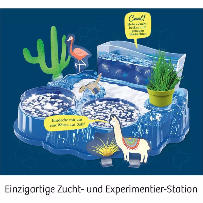 Kosmos 63326 Kinder-Wissenschaftsspielzeug