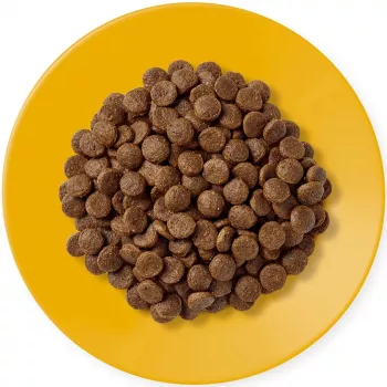 APPLAWS Adult Chicken - Trockenfutter für Katzen - 400g