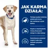 HILL'S PD D/D Food Sensitivities, Ente und Reis - Trockenfutter für Hunde - 4 kg