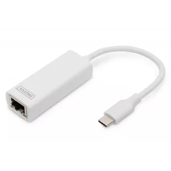 Digitus DN-3024 USB 3.0 Adapter 20 cm 1x USB-C auf 1x RJ45 Geschirmt