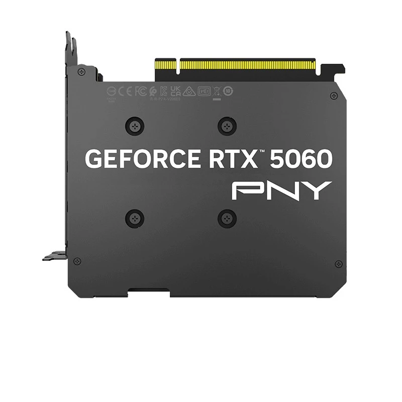 PNY GeForce RTX 5060 8GB Grafikkarte