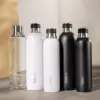 Karbonisierflasche BRITA 118426 – 1 L Glasflasche mit Edelstahlkappe, 287 mm Höhe, 2er-Pack