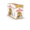 ROYAL CANIN Shih Tzu Adult Nassfutter für Hunde Pastete 12x85 g