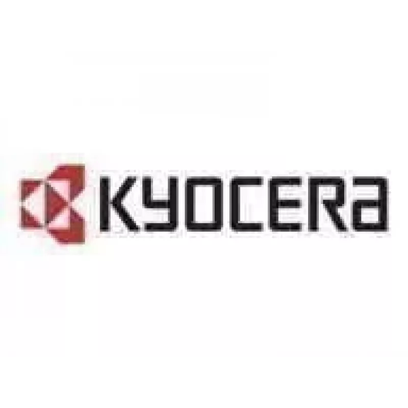 Kyocera IB-38 - Druckserver - USB - für TASKalfa 2554Ci