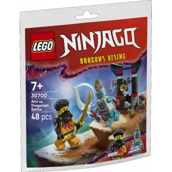 Konstruktionsspielzeug LEGO-Set 30700 Arins Kampf mit dem Drachenmann Polybag (Miniset)