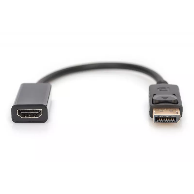 Digitus DisplayPort Adapter / Konverter