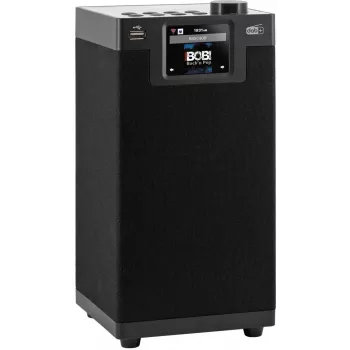 Imperial DABMAN i610 Schwarz DAB-Radio