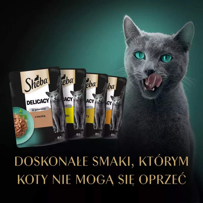 Nassfutter für Katzen Sheba Huhn Ente Truthahn 85 g Beutel (80 × 85 g) für ausgewachsene Katzen, Feuchtigkeit 86%