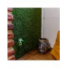 Smart-Steckdose Shelly Plug S Gen3 — Wi‑Fi-Smart-Steckdose mit Energieüberwachung, Typ F, 110–230 V, 2500 W, weiß