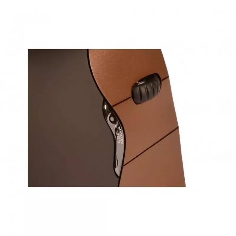 BakkerElkhuizen Evoluent 4 Small Wireless, rechtshändig, vertikales Design, Laser, RF Wireless, 2600 DPI, Schwarz, Braun