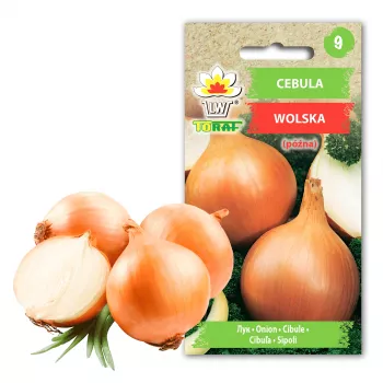 Wolska Onion Toraf Gemüsesamen, 5g Packung