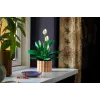 LEGO BOTANICALS 11504 Friedenslilie