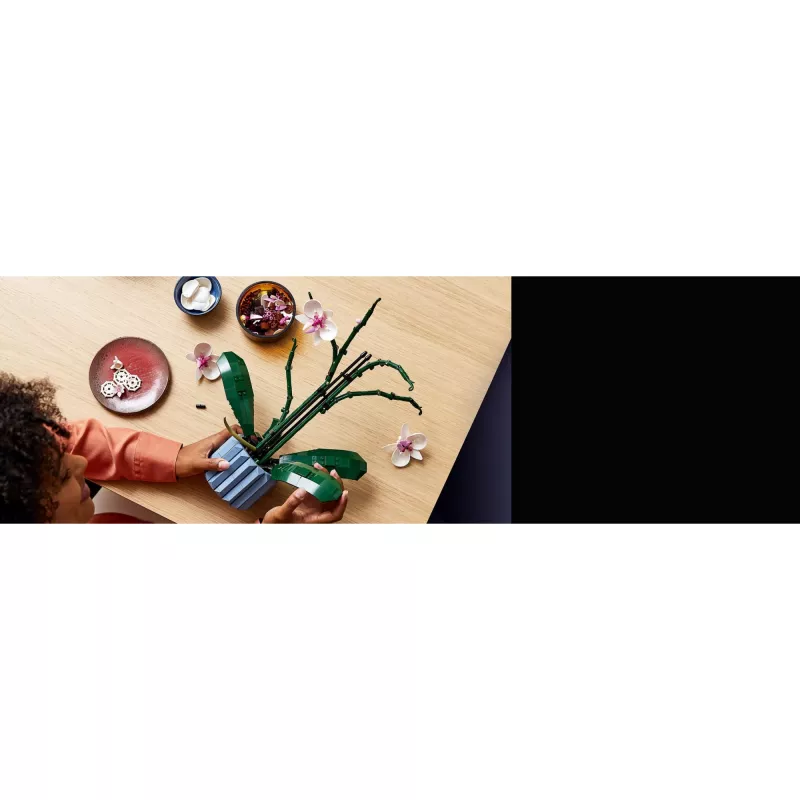 LEGO 10311 Icons Orchidee Künstliche Pflanze Bauset mit Blumen Wohnaccessoire für Erwachsene Botanische Kollektion Geschenk für Ehefrau oder Ehemann