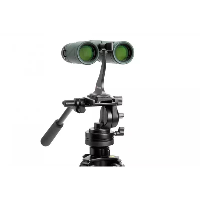 Fernglas Celestron Nature DX 10x32