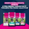 Trockenfutter für Hunde EUKANUBA Mature Small Chicken 3 kg — für ausgewachsene Hunde kleiner Rassen