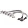 Slotblechkabel USB 2.0 HighSpeed Typ 2xIDC (5pin)/4xUSB A M/F grau 0,25 m