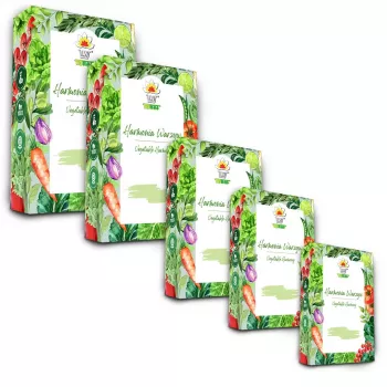 Toraf Seed Set - Set 5X5 2024 Toraf 60X1PCS