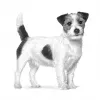 Trockenfutter für Hunde Royal Canin Gastrointestinal Low Fat Small 3,5 kg — Diätfutter für kleine ausgewachsene Hunde, fettarm 7 %, Protein 22 %