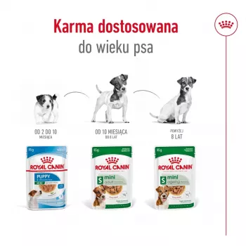 Nassfutter Royal Canin Mini Ageing 12+ Adult 85 g Beutel — kleine Rassen, Geflügel, Senior