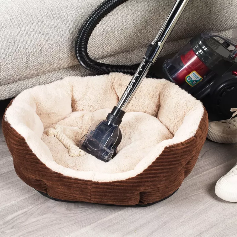 Staubsauger Beldray BEL0700TBVDE Compact Pet Plus