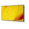 NEC MultiSync M651-2 Kioskdesign 165,1 cm (65 Zoll) LED 500 cd/m² 4K Ultra HD Schwarz Eingebauter Prozessor