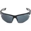Sport-Radbrille Alpina Nylos HR Schwarz