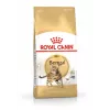 Trockenfutter für Katzen Royal Canin Bengal Adult 10 kg – Huhn, 40% Protein, 18% Fett