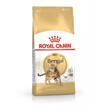 Trockenfutter für Katzen Royal Canin Bengal Adult 10 kg – Huhn, 40% Protein, 18% Fett