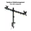 Dual-Monitor-Halterung 17-32 10kg pro Arm