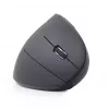 Gembird MUSW-ERGO-01 Maus für Rechtshänder RF Wireless Optisch 1600 DPI