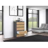 Kommode Topeshop M5 ANTRACYT/ARTISAN 5 Schubladen, Anthrazit Eiche, 700×1095×400 mm