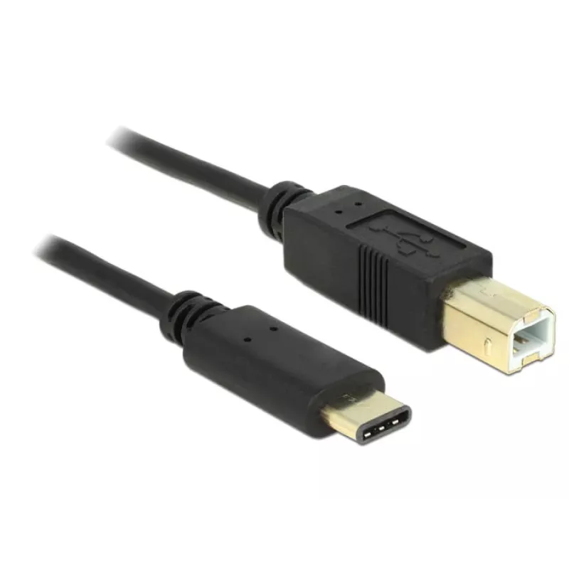 USB-Kabel DeLOCK 2m USB2.0-C/USB2.0-B