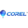 Corel PaintShop Pro 2023 - Box-Pack - 1 Benutzer (Mini-Box) - Win - Multi-Lingual - Europa