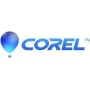 Corel PaintShop Pro 2023 - Box-Pack - 1 Benutzer (Mini-Box) - Win - Multi-Lingual - Europa