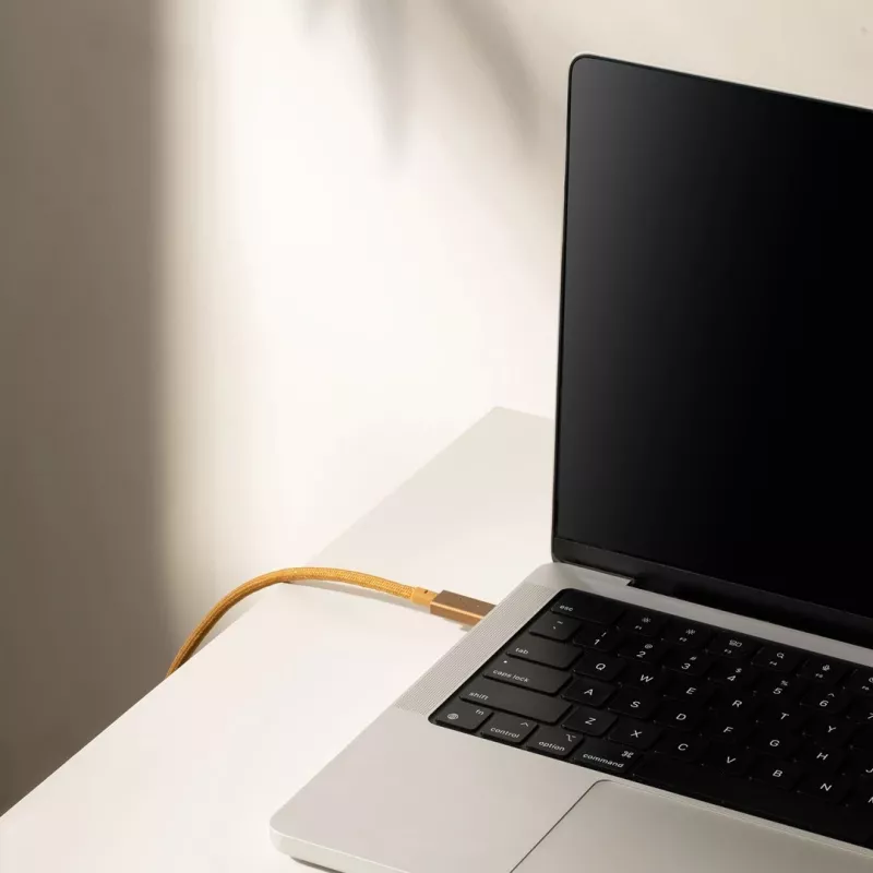 Kabel USB-C auf USB-C Native Union Belt Kabel Pro 240W, 2,4 m, USB 2.0, 0,48 Gbit/s, Grün