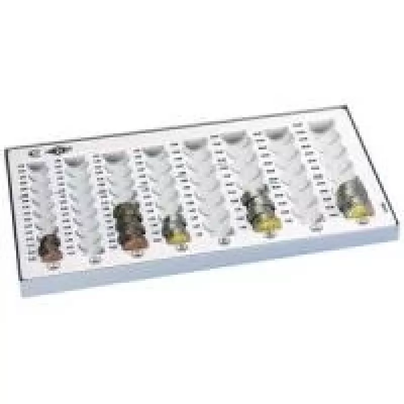 Geldkassette WEDO 160 100837 Kunststoff Grau