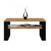 Topeshop MODERN 1P ART CZ Couchtisch / Beistelltisch / Ecktisch Couchtisch rechteckige Form 2 Bein(e)