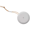 Bang & Olufsen Beosound A1 2nd Gen - 1,52 cm (0.6 inch) - 8,89 cm (3.5 inch) - 55 - 20000 Hz - Wireless - USB Typ-C - Grau (1734001)