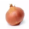 Wolska Onion Toraf Gemüsesamen, 5g Packung