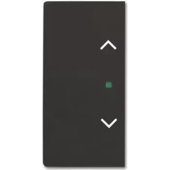 BUSCH JAEGER BJ 6232-20-885 Wippe 2-fach blind schwarz matt Busch-free@home future