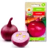 Onion Karmen Toraf Gemüsesamen, 3g-Packung