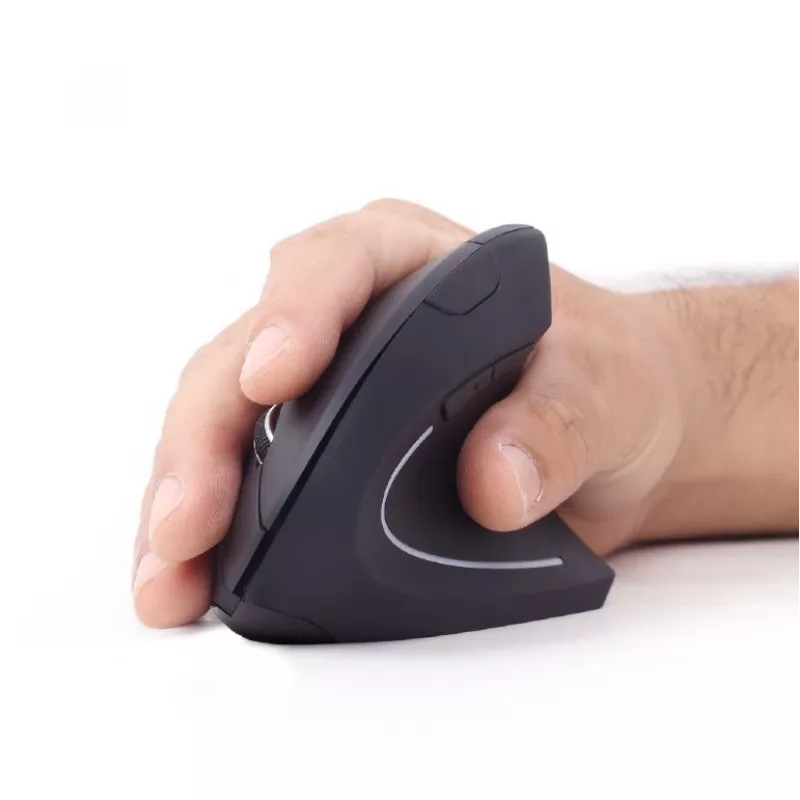 Gembird MUSW-ERGO-01 Maus für Rechtshänder RF Wireless Optisch 1600 DPI