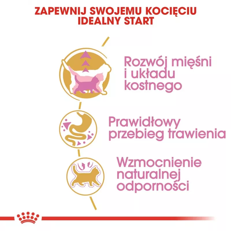 Trockenfutter für Katzen Royal Canin British Shorthair Kitten 2 kg – Huhn, 38% Protein, 20% Fett, Wachstumsformel