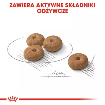 Trockenfutter für Hunde Royal Canin MINI Sterilised — Ausgewachsene Hunde kleiner Rassen 8 kg, Huhn, Zahnpflege, Gewichtskontrolle