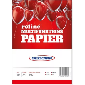 Druckerpapier ROLINE 16061125 A4 500 Blatt Weiß