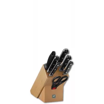 Messerset im Block Zwilling Professional S