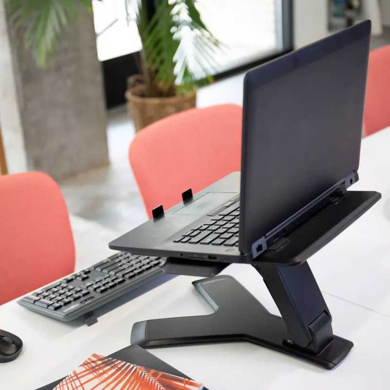 Laptop-Ständer Ergotron Neo-Flex™ Notebook Lift Stand Schwarz